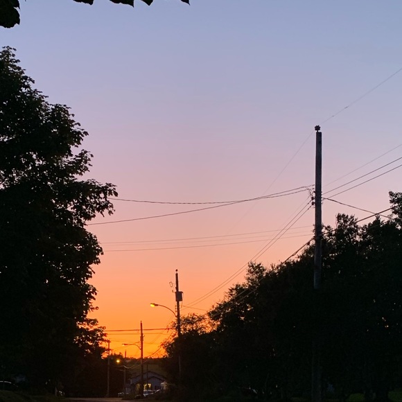 Meet your Posher, Mackenzie - Picture 1 of 1